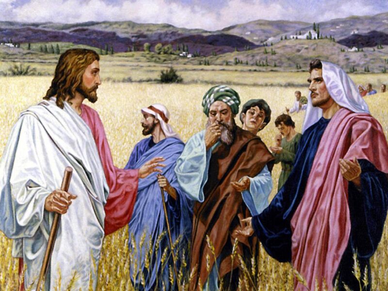 A Parábola do Joio e do Trigo